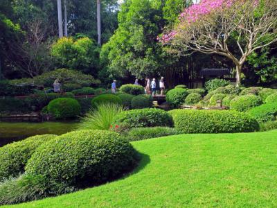 Brisbane Botanic Gardens, Brisbane