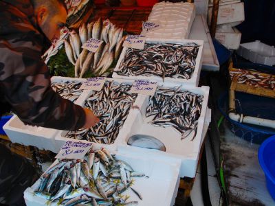 Karakoy Fish Market, Istanbul