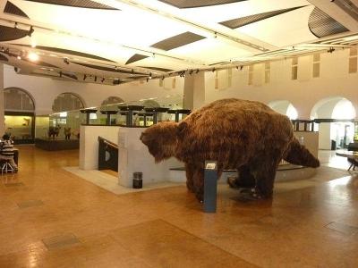 Zoologisches Museum, Zurich