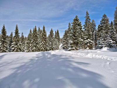 Snow Kingdom, Mumbai