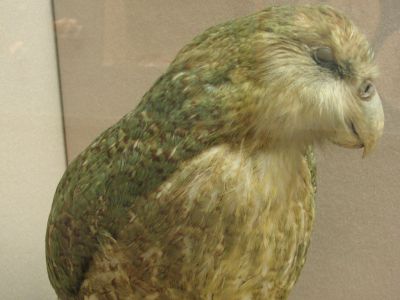 Children's Museum of Pittsburgh, Pittsburgh