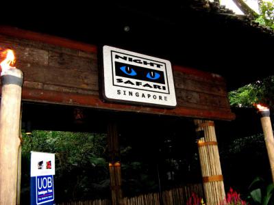 Night Safari, Singapore