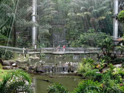 Kuala Lumpur Bird Park, Kuala Lumpur