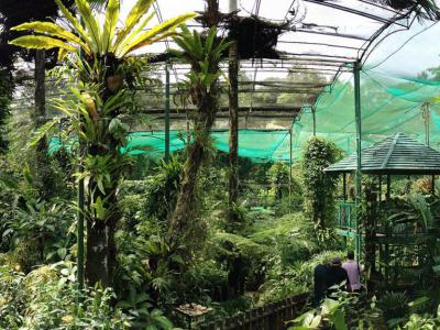 Kuala Lumpur Butterfly Park, Kuala Lumpur