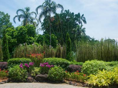 Singapore Botanic Gardens