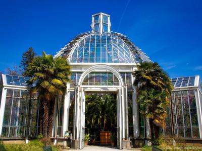 Conservatory and Botanical Gardens, Geneva