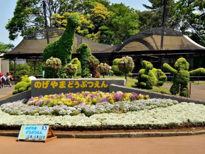Nogeyama Zoo, Yokohama
