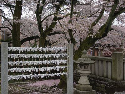 Seto Syugetsu, Yokohama