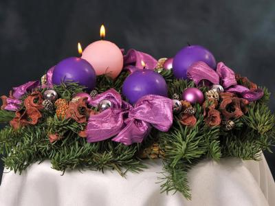 The Green House Environment Shop, Cairns