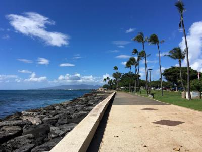 Kakaako Waterfront Park, Honolulu