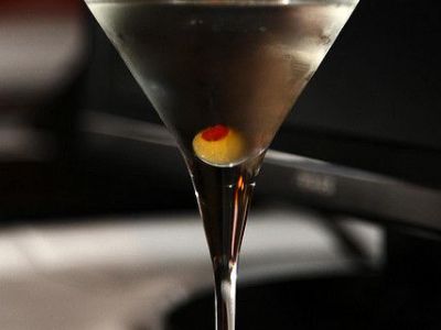 Canvasback, Cambridge