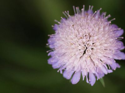 Al Sha'ab Leisure Park, Kuwait City