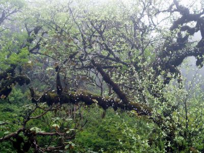 Bhrikuti Mandap Park, Kathmandu