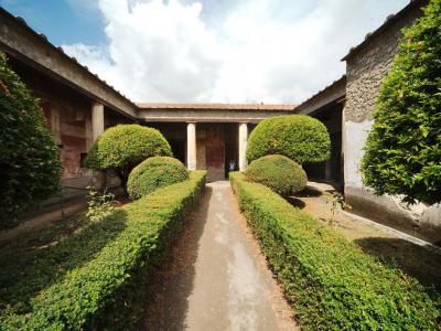 House of the Venus in Shell