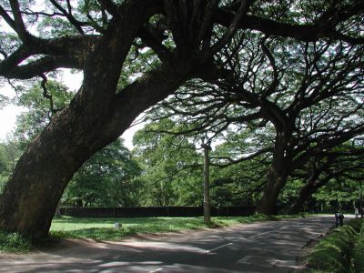 Al Shaheed Park, Kuwait City
