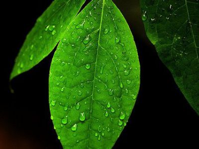 Museo di Storia Naturale (Natural History Museum), Siena