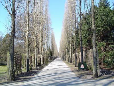 Assistens Cemetery, Copenhagen