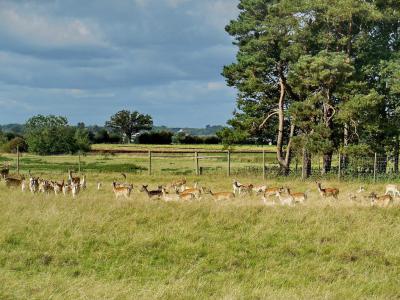 Deer Park, Stratford-upon-Avon