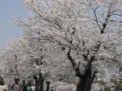 Fukuro-Machi Park, Hiroshima