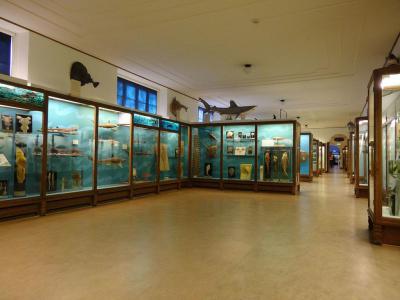 Naturhistoriska Museet (Natural History Museum), Gothenburg