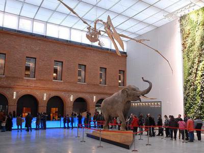 Toulouse Museum, Toulouse
