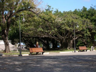 Parque Luis Muñoz Rivera, San Juan