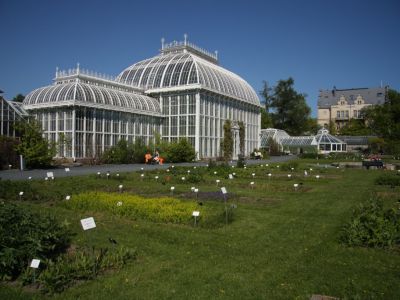Kaisaniemi Park, Helsinki