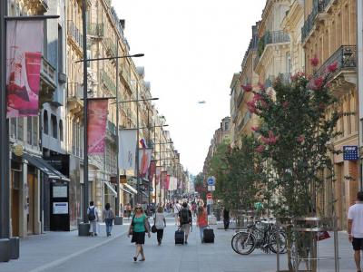 Rue d'Alsace-Lorraine (Alsace-Lorraine Street), Toulouse