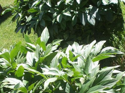 Nishtar Park, Karachi