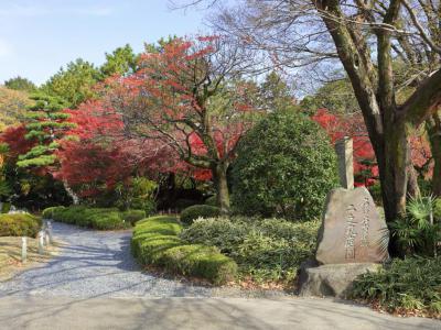 Ninomaru Garden, Nagoya