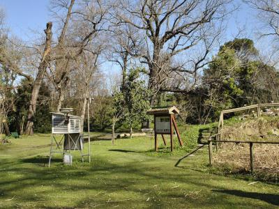 Orto Botanico (Botanical Garden and Herbarium), Bologna