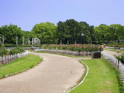 Tsurumai Park, Nagoya