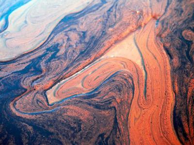 Didus Art Gallery, Port Louis