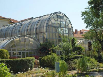 Botanical Garden, Brno