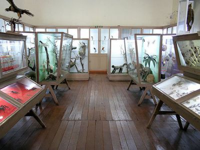 The Museum of Natural History, Cusco