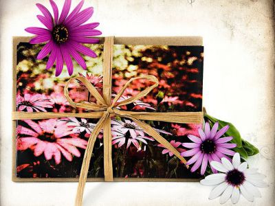 Paper Vision, Santa Cruz