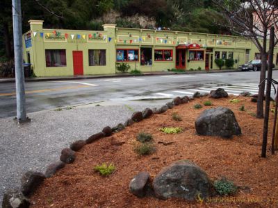 Serpent's Kiss & Mama Chola's Botanica, Santa Cruz