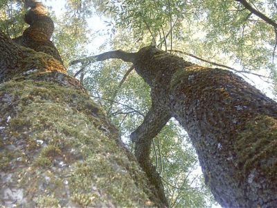 Al Sabil Public Park, Aleppo