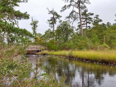 First Landing State Park, Virginia Beach