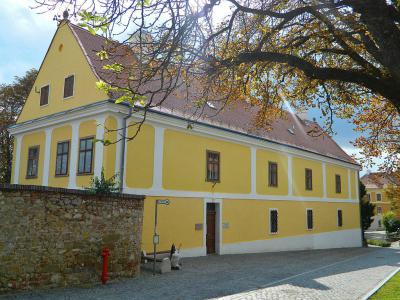 The Endre Nemes Museum, Pecs