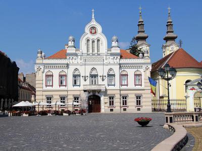 Episcopia Ortodoxa Sarba (Serbian Bishops' Collection), Timisoara
