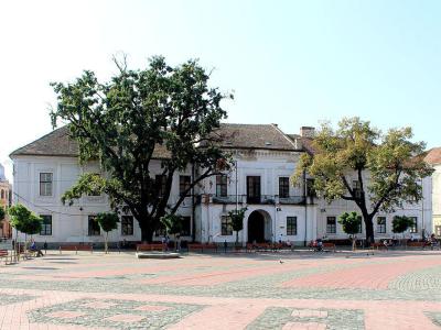 Muzeul Militar (Military Museum), Timisoara