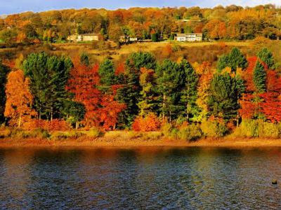 Graves Park, Sheffield