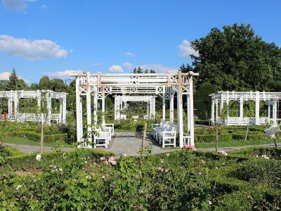 Parcul Rozelor (Roses Park), Timisoara