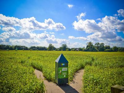 York Maze, York