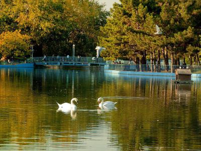 Victory Park, Odessa
