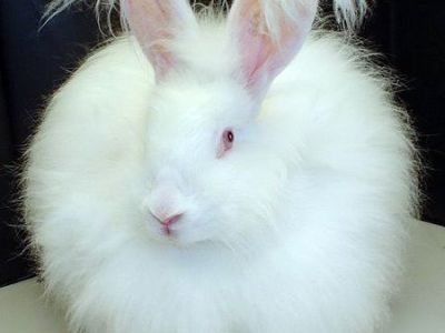 Legepladsen Skolemarken (Playground Skolemarken), Aarhus