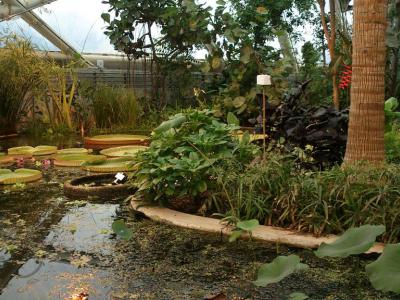 Aarhus Botanical Gardens