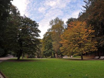 Stryisky Park, Lviv