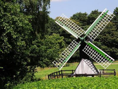 Spinnenkop Arnhem (Spider Arnhem), Arnhem